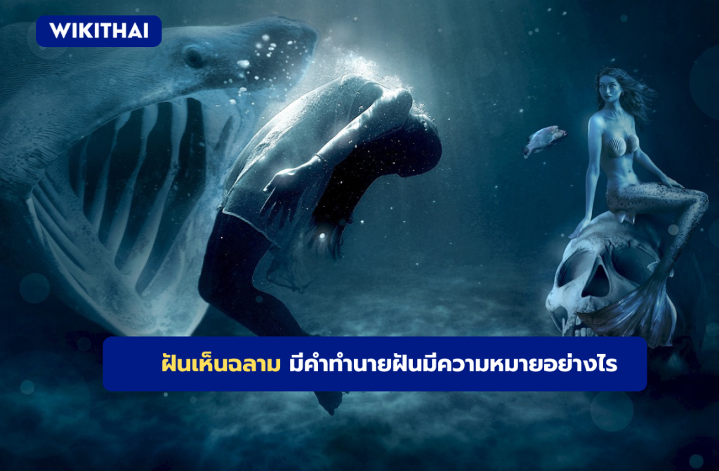 ฝันเห็นฉลาม