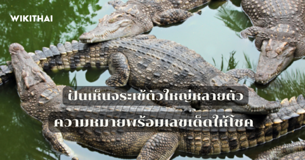 ฝันเห็นจระเข้ตัวใหญ่หลายตัว