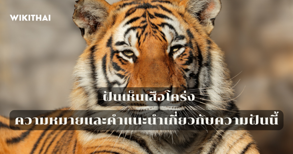 ฝันเห็นเสือโคร่ง