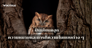 ฝันเห็นนกฮูก