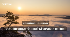 ฝันเห็นทะเลหมอก