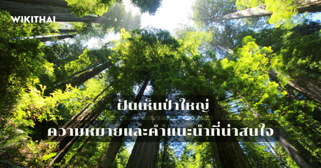 ฝันเห็นป่าใหญ่