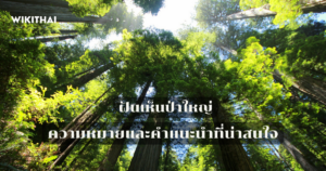ฝันเห็นป่าใหญ่