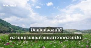 ฝันเห็นทุ่งดอกไม้