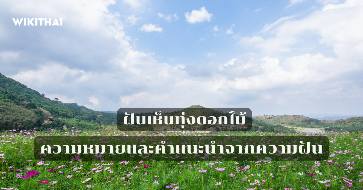ฝันเห็นทุ่งดอกไม้