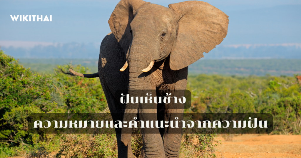 ฝันเห็นช้าง