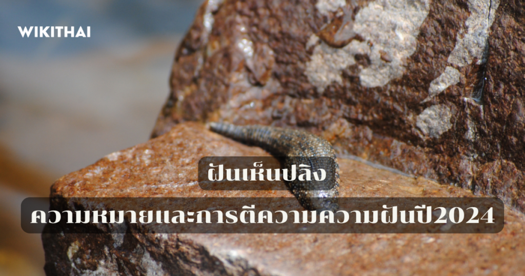 ฝัน เห็น ปลิง