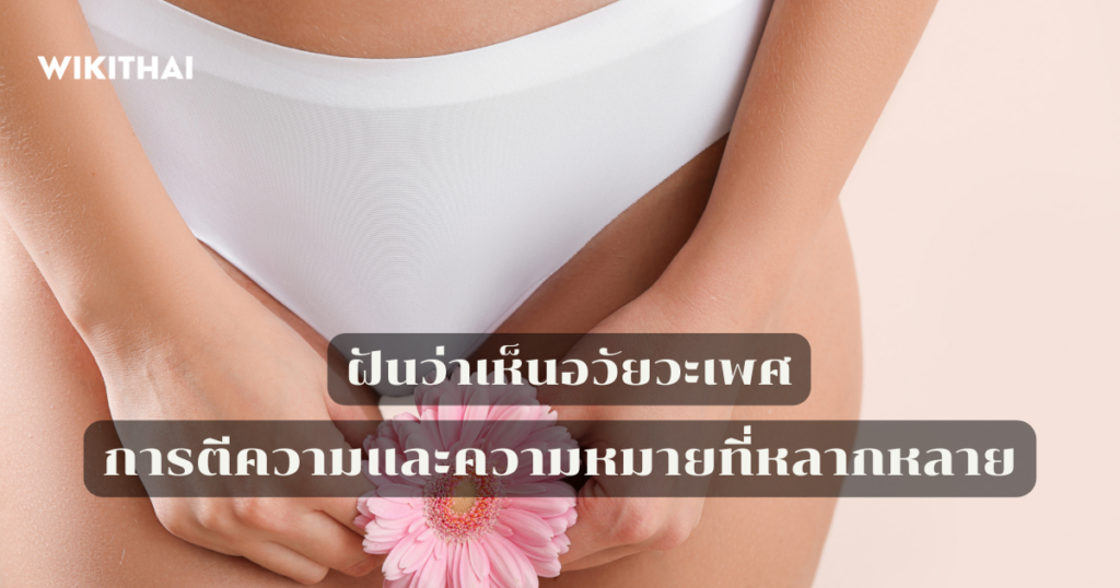 ฝันว่าเห็นอวัยวะเพศ