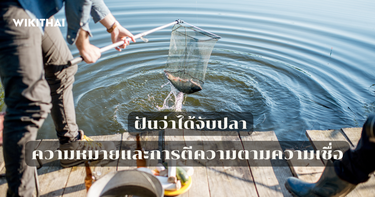 ฝันว่าได้จับปลา