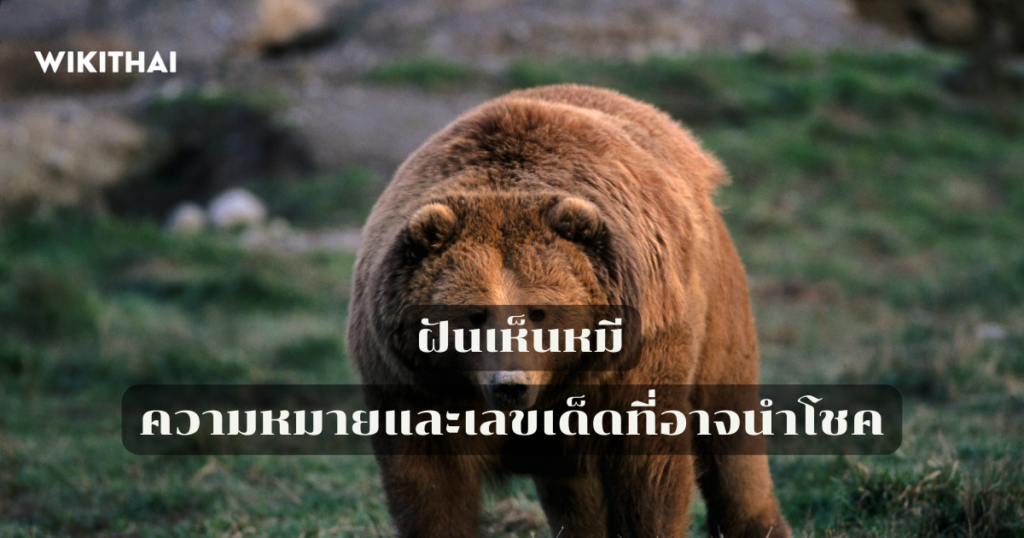 ฝันเห็นหมี