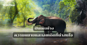 ฝันเห็นช้าง