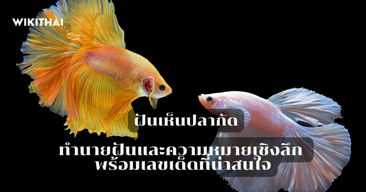 ฝันเห็นปลากัด