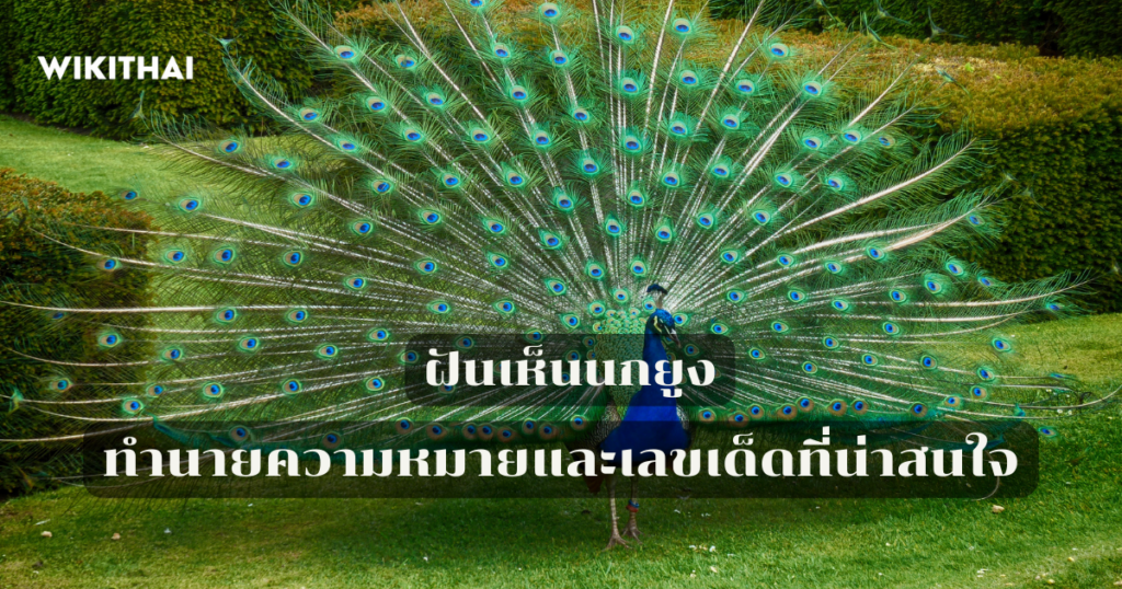 ฝันเห็นนกยูง