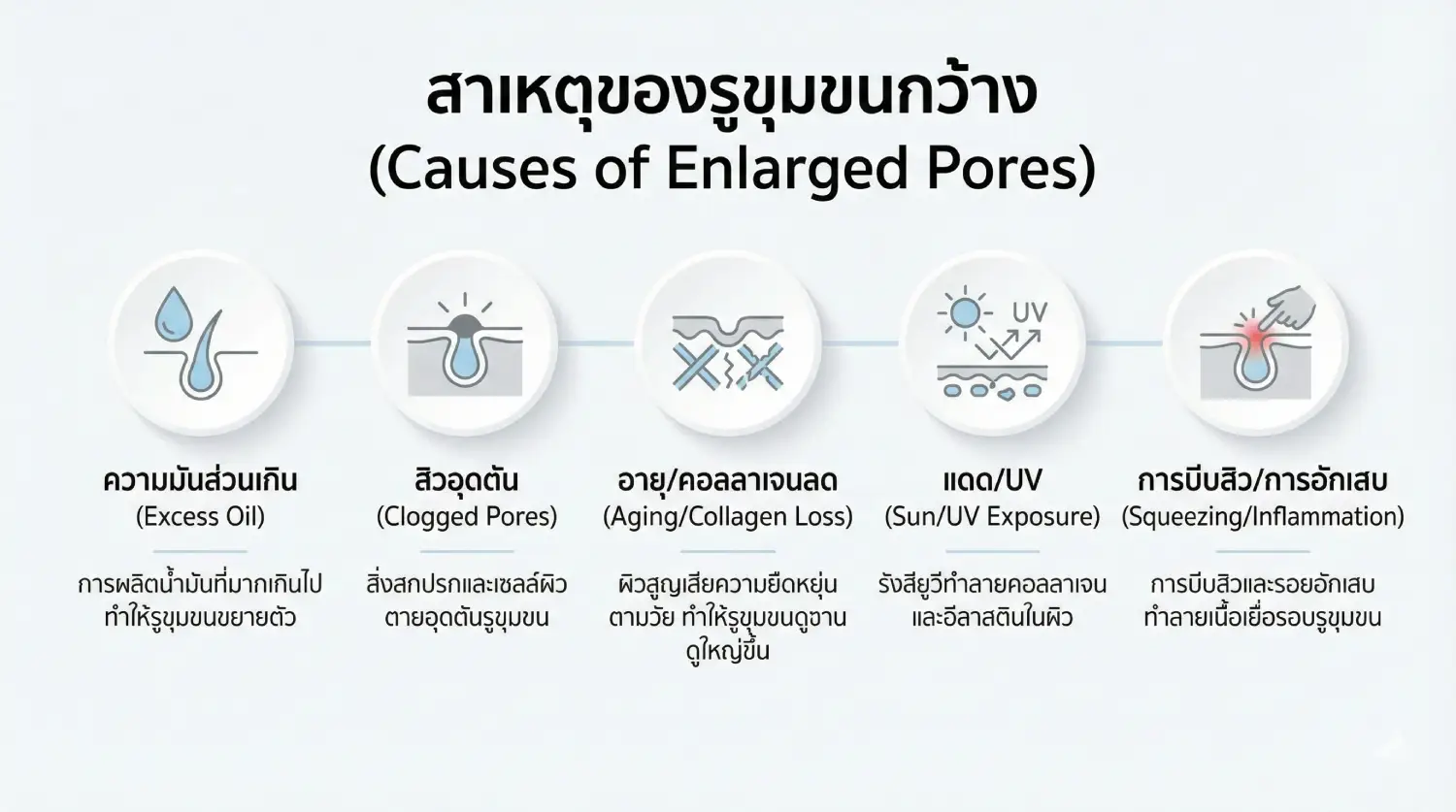 รูขุมขนกว้างคืออะไร (1)